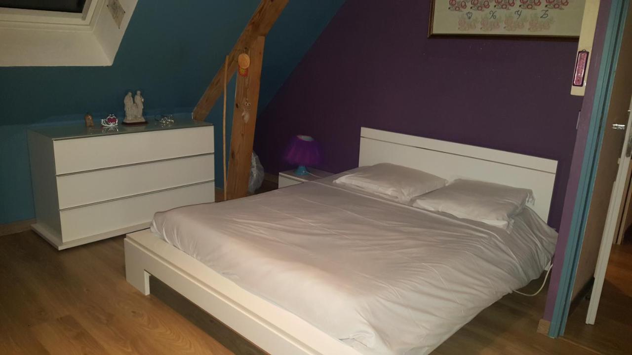Chambre D'Hotes Chez L'Habitant Montlouis-sur-Loire Zewnętrze zdjęcie